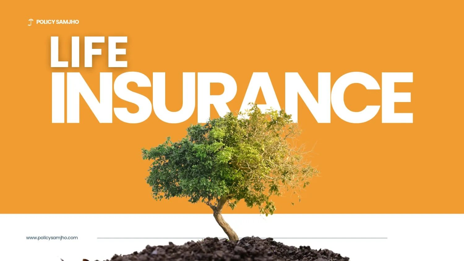 Life Insurance Visual 1